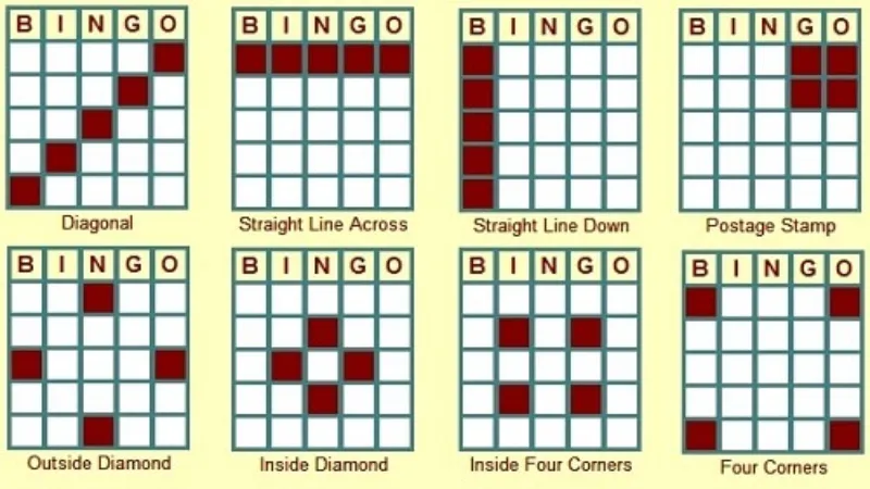 Exploring Different Bingo Experiences