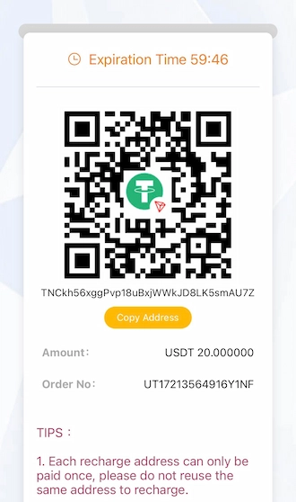 Step 4: make a USDT payment by scanning the QR code.