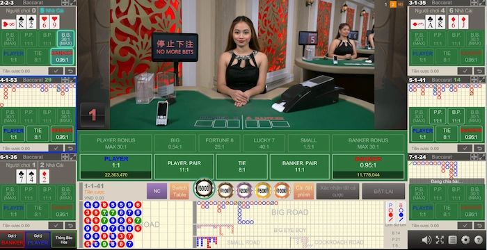 What is Baccarat?